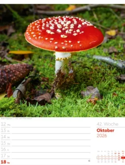 Ackermann Kunstverlag Wochenkalender-Unser Wald Wochenplaner Kalender 2026