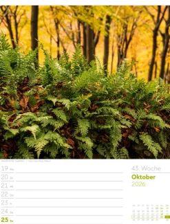 Ackermann Kunstverlag Wochenkalender-Unser Wald Wochenplaner Kalender 2026