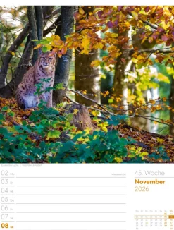 Ackermann Kunstverlag Wochenkalender-Unser Wald Wochenplaner Kalender 2026