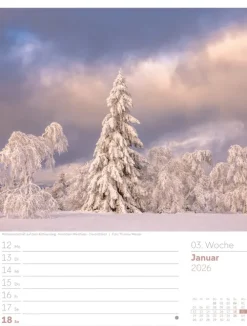 Ackermann Kunstverlag Wochenkalender-Unser Wald Wochenplaner Kalender 2026