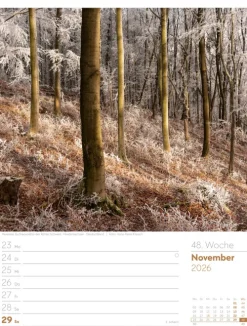 Ackermann Kunstverlag Wochenkalender-Unser Wald Wochenplaner Kalender 2026
