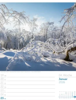Ackermann Kunstverlag Wochenkalender-Unser Wald Wochenplaner Kalender 2026