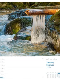 Ackermann Kunstverlag Wochenkalender-Unser Wald Wochenplaner Kalender 2026