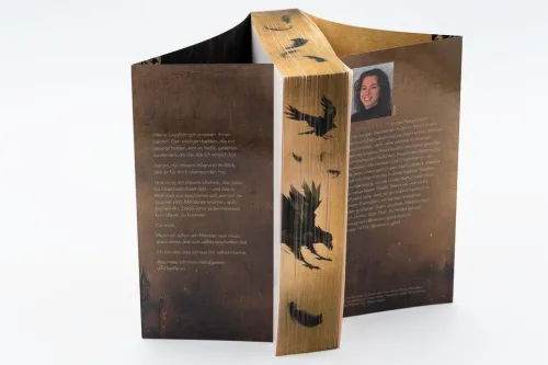 Knaur Taschenbuch Fantasy & Science Fiction|Vampirromane-Until the Light destroys