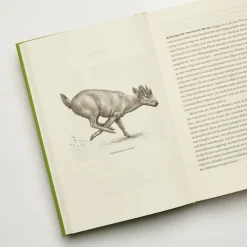 Urwelten*Carl Hanser Verlag Outlet