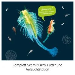 Urzeit-Krebse*Franckh-Kosmos Sale