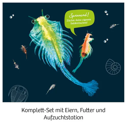 Urzeit-Krebse*Franckh-Kosmos Sale