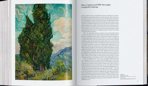 Taschen GmbH Künstler:Innen Im Fokus-Van Gogh. Sämtliche Gemälde