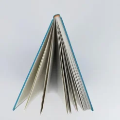 riva Verlag Lebensfreude|Glück & Wünsche*Verbrenn das Buch danach - Ein Ausfüllbuch für Erwachsene