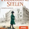 Vergessene Seelen*dtv Verlagsgesellschaft New