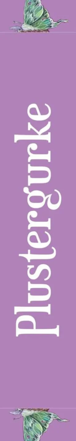 FISCHER Taschenbuch Romane & Erzählungen|Fantasy-Vergissmeinnicht - Was bisher verloren war