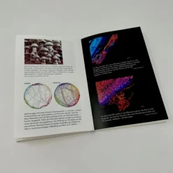 Verwobenes Leben*Ullstein Taschenbuchvlg. Outlet