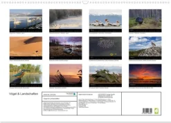 Vögel & Landschaften (Wandkalender 2026 DIN A2 quer), Monatskalender*Calvendo Discount