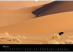 Vögel & Landschaften (Wandkalender 2026 DIN A2 quer), Monatskalender*Calvendo Discount