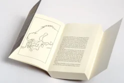 Penguin TB Verlag Abenteuerromane-VIKING - Die Armee der Dänen