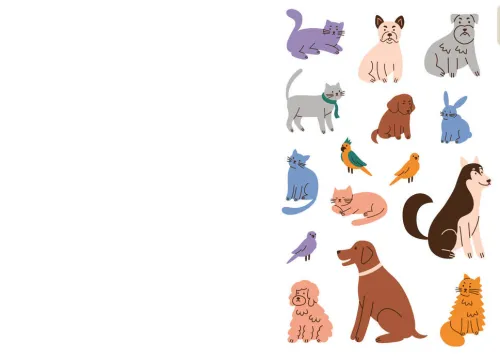 Edition Michael Fischer Notizbücher & -Blöcke-Vision Board: It starts with YOU - Lebe deine Träume für Teens