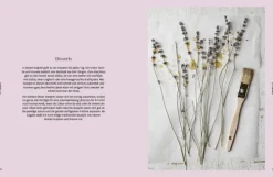 Voilà!*Knesebeck Von Dem GmbH Clearance