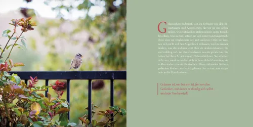 Herder Verlag GmbH Glück & Wünsche-Vom Glück der Gelassenheit