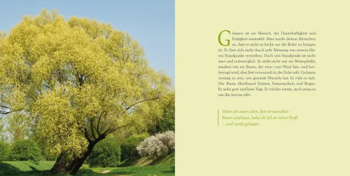 Herder Verlag GmbH Glück & Wünsche-Vom Glück der Gelassenheit