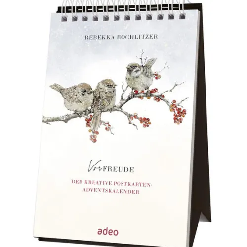 SCM Brockhaus, R. Postkartenkalender*VorFreude - Adventskalender