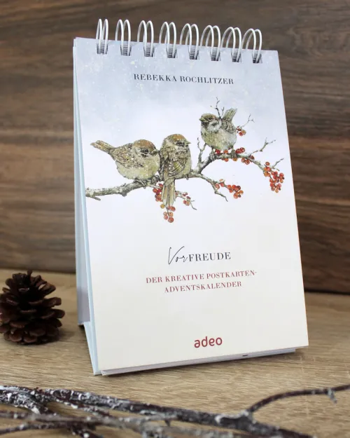 SCM Brockhaus, R. Postkartenkalender*VorFreude - Adventskalender