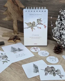 SCM Brockhaus, R. Postkartenkalender*VorFreude - Adventskalender