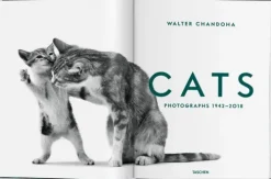 Taschen GmbH Künstler:Innen Im Fokus-Walter Chandoha. Cats. Photographs 1942-2018
