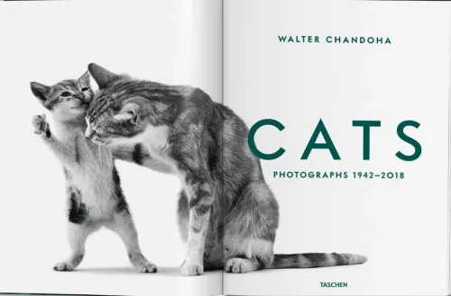 Taschen GmbH Künstler:Innen Im Fokus-Walter Chandoha. Cats. Photographs 1942-2018