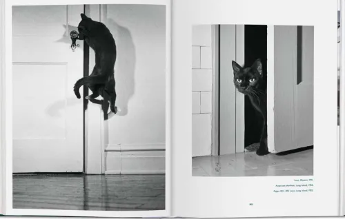 Taschen GmbH Künstler:Innen Im Fokus-Walter Chandoha. Cats. Photographs 1942-2018
