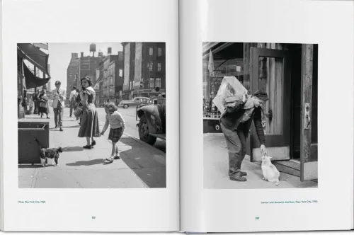 Taschen GmbH Künstler:Innen Im Fokus-Walter Chandoha. Cats. Photographs 1942-2018