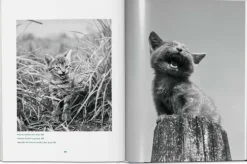 Taschen GmbH Künstler:Innen Im Fokus-Walter Chandoha. Cats. Photographs 1942-2018