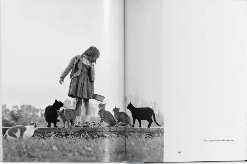 Taschen GmbH Künstler:Innen Im Fokus-Walter Chandoha. Cats. Photographs 1942-2018