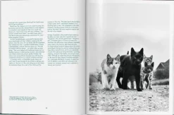Taschen GmbH Künstler:Innen Im Fokus-Walter Chandoha. Cats. Photographs 1942-2018