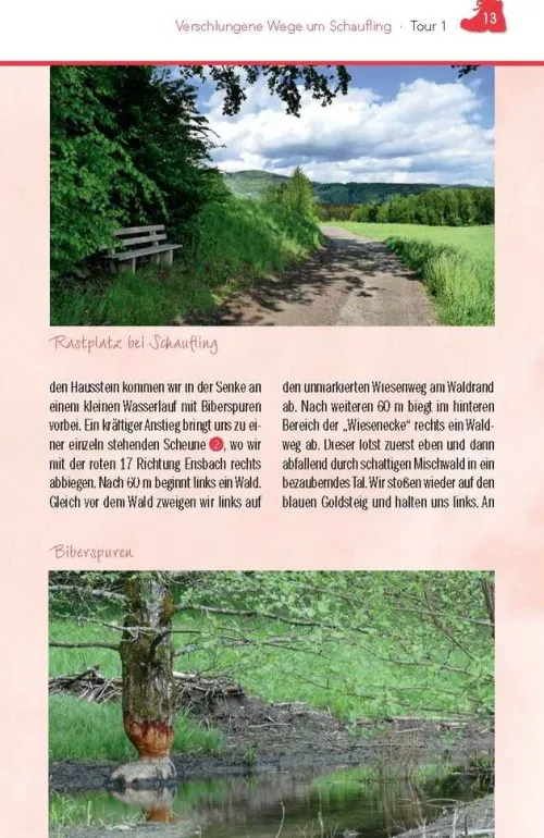 Südost-Verlag Wandern & Radfahren-Wandern im Bayerischen Wald