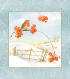 Coppenrath Wandkalender*Wandkalender Wintermorgen mit Rotkehlchen