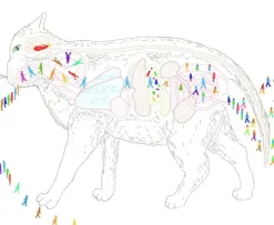 Wann wird es endlich wieder so, wie es nie war*Kiepenheuer & Witsch GmbH Online