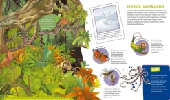 Tessloff Verlag 3-6 Jahre*WAS IST WAS Kids Supertiere. Rekordhalter an Land, in der Luft und im Wasser