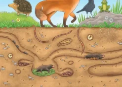 Don Bosco Medien GmbH Lesen & Geschichten*Was macht der Regenwurm im Garten? Kamishibai Bildkartenset