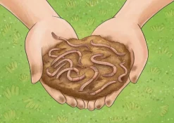 Don Bosco Medien GmbH Lesen & Geschichten*Was macht der Regenwurm im Garten? Kamishibai Bildkartenset