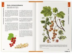 Was wir essen*Favoritenpresse Hot