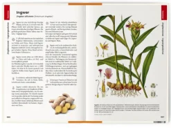 Was wir essen*Favoritenpresse Hot