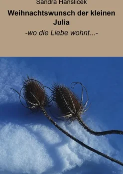 neobooks Märchen & Sagen*Weihnachtswunsch der kleinen Julia