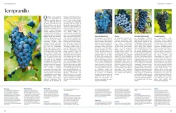 ZS Verlag Wein & Getränke*Wein - Die große Schule