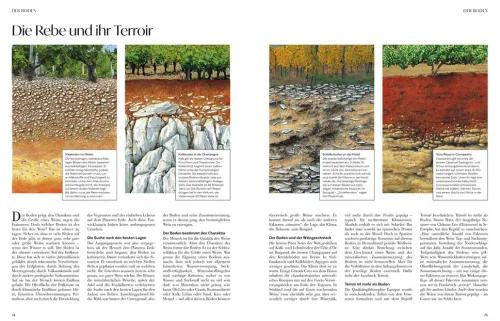 ZS Verlag Wein & Getränke*Wein - Die große Schule