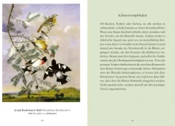 Ludwig Verlag Weisheiten*Weisheiten aus 'Das geheime Leben der Bäume'