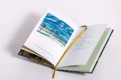 Ludwig Verlag Weisheiten*Weisheiten aus 'Das geheime Leben der Bäume'