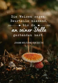 Weisheiten für die Seele*Ars Edition GmbH Online