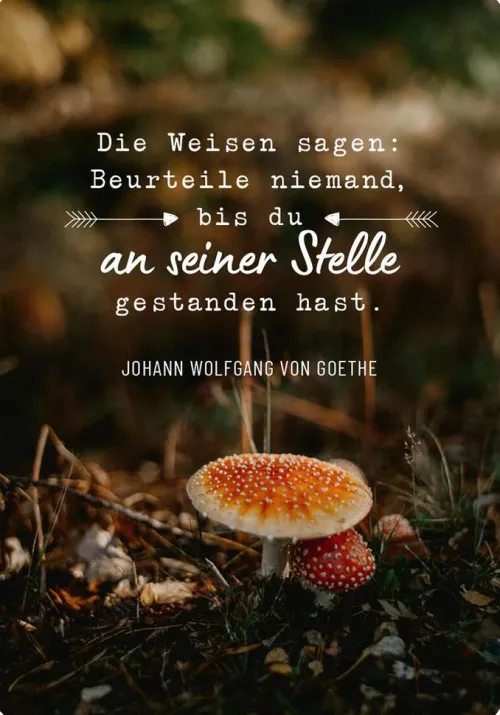 Weisheiten für die Seele*Ars Edition GmbH Online