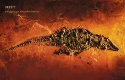 Frederking u. Thaler Bildbände*Welterbe