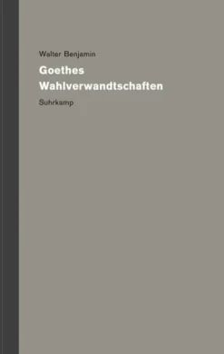 Suhrkamp Verlag Sprachwissenschaften-Werke und Nachlaß. Kritische Gesamtausgabe Band 4